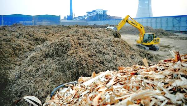 大城县生物质发电公司料场正在垛料操作