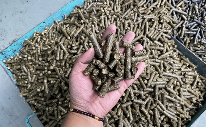 木屑制粒机生物颗粒真正实现燃料变废为宝