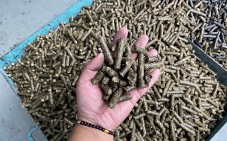 木屑制粒机生物颗粒真正实现燃料变废为宝